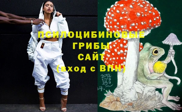 шишки Новозыбков