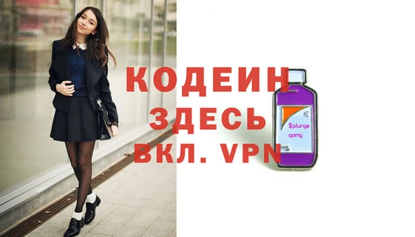 шишки Новозыбков