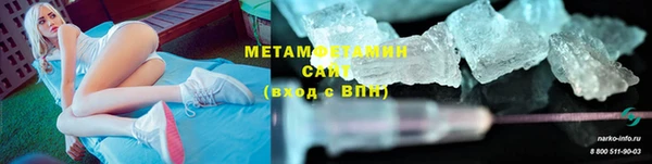 шишки Новозыбков