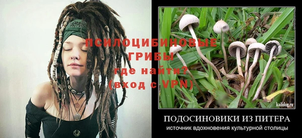 MESCALINE Нефтегорск
