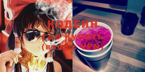 шишки Новозыбков