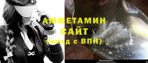 шишки Новозыбков